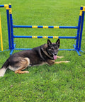 Agility Free Standing Wings For Dogs Pro Grade PVC Indoor Outdoor Obstacle Training Equipment with dog resting nearby