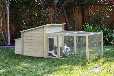 Fontana Jumbo Chicken Pen EcoFlex Outdoor Enclosure With Stainless Steel Wire Predator Resistant Lock Non Toxic Durable
