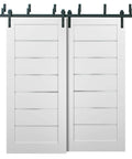 Barn Bypass Doors 36 By 84 With 6.6 Foot Hardware, White Silk Frosted Glass Double Sliding Lite Panel, Solid MDF Eco Veneer Finish