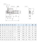 Technical drawing and specifications for Workhorse Vacuum Generator For Industrial Automation Negative Pressure Air Ejector.