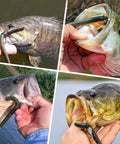 Collage of bass fish hooked with soft plastic worms using Wacky Worm O Ring Set for easy rigging and durable reuse