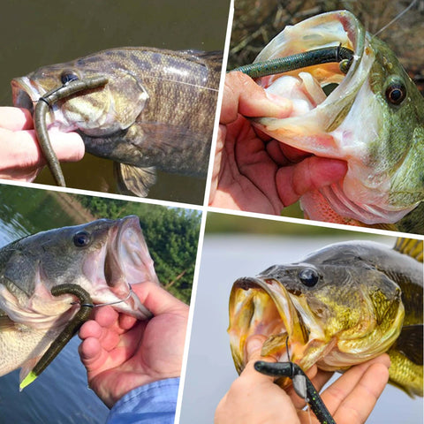 Collage of bass fish hooked with soft plastic worms using Wacky Worm O Ring Set for easy rigging and durable reuse