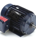 Three Phase General Purpose Workhorse Motor 2 HP 145T Frame TEFC Rigid Base Mount 230 To 460 Volts 60 To 50 Hz 1755 RPM