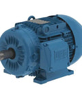 Three Phase General Purpose TEFC Motor Workhorse 4 HP 3 Kilowatts 100L Frame 460V AC 60 Hz 3515 RPM Rigid Base Mount Industrial Motor