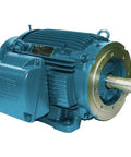 Three Phase General Purpose Motor 60 HP TEFC 364 5TSC Frame 230 and 460 Volt AC 3560 RPM 60 Hz Rigid Base C Face Mount Full Load Amps 134 and 67 A