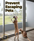 Dog and cat by sliding glass door secured with 10 Pack Adjustable Aluminum Window Locks For Vertical And Horizontal Windows No Drill Install