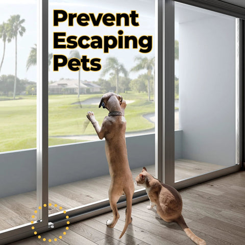 Dog and cat by sliding glass door secured with 10 Pack Adjustable Aluminum Window Locks For Vertical And Horizontal Windows No Drill Install