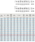 ANSI C2122 Conveyor Roller Chain Ten Feet With One Connecting Link Pitch Size Three Inches Double Pitch chart