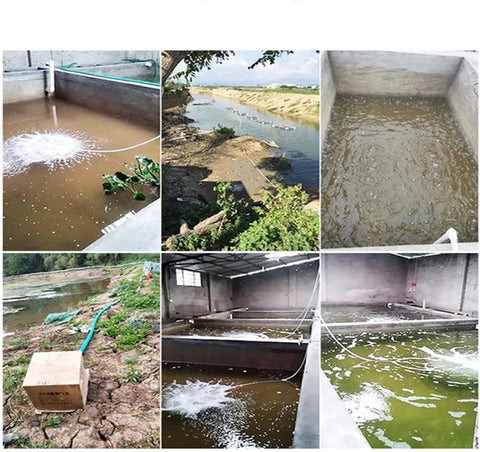 Industrial regenerative blower delivers high pressure, low noise air for robust aquaculture aeration in ponds and tanks.
