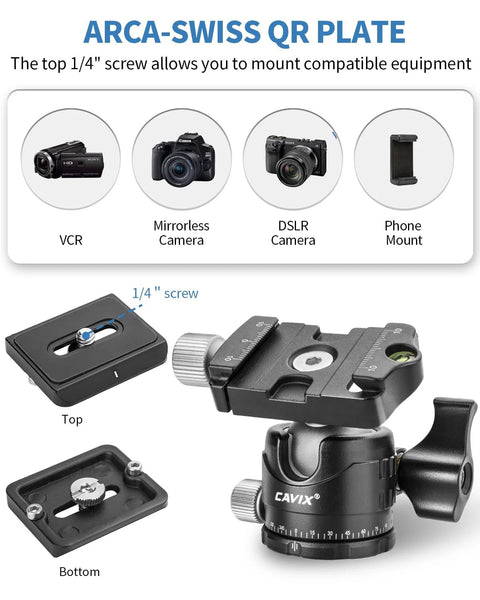 Arca Swiss Quick Release Ball Head with one quarter inch screw, showing top and bottom view, compatible with various cameras.