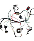Electric Wiring Harness Kit With Relay Stator Coil CDI Solenoid And Spark Plug For 50cc 70cc 110cc And 125cc ATVs Go Karts Pit Quads And Dirt Bikes Built For 4 Wheelers.