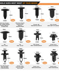 Assorted auto push pin bumper retainer clips for GM, Ford, Chrysler, Honda, Acura in Comprehensive 238 Piece Trim Removal Tool Kit