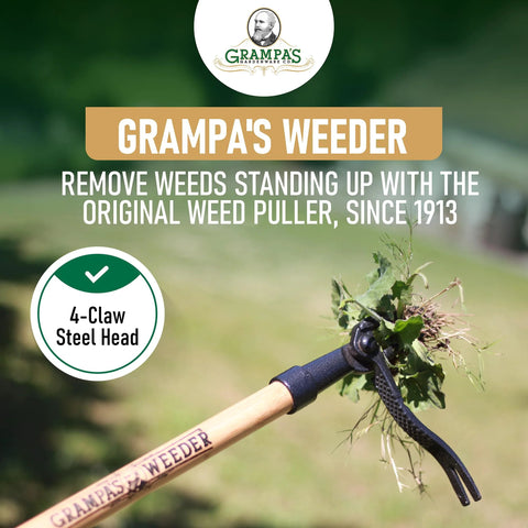 Stand Up Weed Puller With Long 45 Inch Handle And Four Claw Steel Head Made From Real Bamboo Back And Knee Friendly Weeding Tool