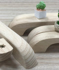 Unfinished Beech Wood Drawer Knob Set 2 Pack Paintable Cabinet Handles with Decorative Mini Cactus, Smooth Finish Close-up