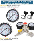 CO2 beer regulator for home kegerators with dual stage 60 PSI gauges and hose clamps for precise pressure control