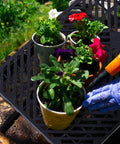 Gardening pots on Six Pack Lightweight Plastic Pallets 23.6 X 11.8 X 1.18 Inches Moisture Proof Waterproof Floor Pallets
