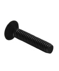 ✝️ RISON Titanium Screws M2x5mm Screws 10Pcs DIN7991 Titanium Countersunk Hex Socket Cap Screws GR2 Small Bolts