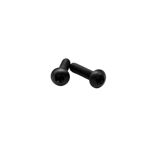 ✝️ RISON Titanium Screws M3 X 6mm Titanium Torx Button Head Screws 10Pcs Black ISO7380 close-up of two screws