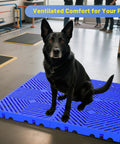 Dog sitting on Nestable Plastic Pallets For Basement And Warehouse Storage Ten Pack 23.6x11.8x1.18 Inches Blue HDPE