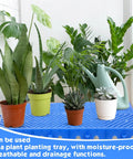 10 Pack Plastic Pallets 23.6 By 11.8 By 1.18 Inches Lightweight Moisture Proof And Waterproof Storage Grid Pallets With Ventilation for plants