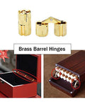 12 Pcs Brass Barrel Hinges For Concealed Cabinets 10mm Hidden Hinges For Jewelry Boxes and Cabinets
