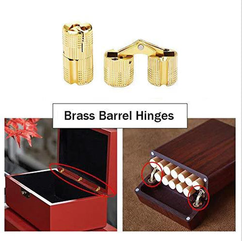 12 Pcs Brass Barrel Hinges For Concealed Cabinets 10mm Hidden Hinges For Jewelry Boxes and Cabinets