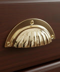 Brass Cup Handle With Elegant Scalloped Shell Design Pack Of 4 for drawer and cabinet pulls on wooden furniture