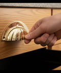 Brass Cup Handle With Elegant Scalloped Shell Design Pack Of 4 for drawer and cabinet pulls being used on wooden drawer