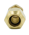 Brass DOT Air Brake Hose Fitting Male Connector front view showing ribbed sleeve and stainless steel support