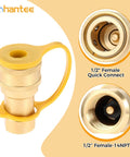 One Half Inch Brass Gas Quick Connect Kit With Male Insert Plug, showing 1/2" female quick connect and 1/2" NPT threads