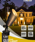 Warm White Die Cast Brass Outdoor Spotlight For Landscape Lighting 12V Low Voltage MR16 LED Bulb installed in yard