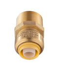 Front view of Two Pack Push Fit Half Inch To Three Quarter Inch Male Adapter With Disconnect Tool For Pex Copper CPVC And PERT Pipe Fits Potable Water And Hydronic Heating Up To Two Hundred PSI And Two Hundred Degrees Fahrenheit Includes No Sweat Disconnect Tool