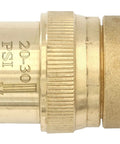 Brass water pressure reducer regulator, 25 PSI, 3/4 inch thread, connected for drip irrigation, handles 150 PSI inlet.