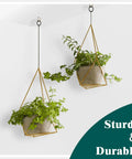 105 Pcs Screw Hooks, 6 Sizes Bronze Cup Hooks for Hanging, displaying plants in geometric planters on wall hooks