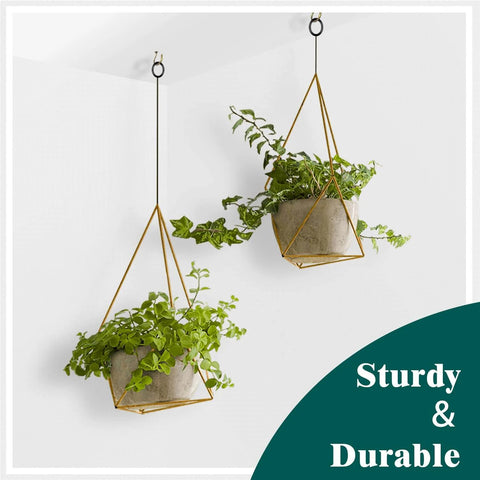 105 Pcs Screw Hooks, 6 Sizes Bronze Cup Hooks for Hanging, displaying plants in geometric planters on wall hooks