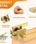 Detailed view of Six Pack Brushed Gold Door Handles For Interior Doors, showing components and anti-rust feature.