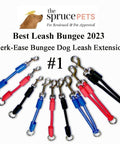 Patented bungee leash extension delivers cushioned shock absorption for you and your dog, compatible with any leash, collar, or harness