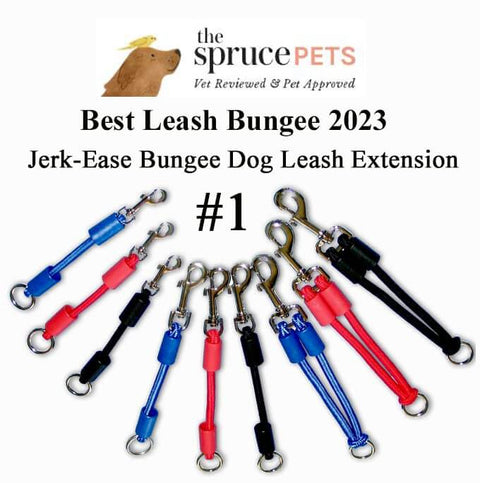 Patented bungee leash extension delivers cushioned shock absorption for you and your dog, compatible with any leash, collar, or harness