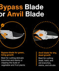 Illustration comparing a Bypass blade for delicate pruning with an Anvil blade for cutting dead branches on shears.