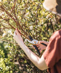 Person using Bypass Pruning Shears With Five Eighth Inch Cut Capacity And Rust Resistant Steel Blade For Delicate Stem Pruning in garden