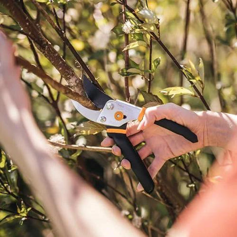 Bypass Pruning Shears With Five Eighth Inch Cut Capacity And Rust Resistant Steel Blade For Delicate Stem Pruning in use on branch