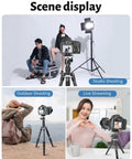 Arca Swiss Quick Release Ball Head in various uses: studio, outdoor, and live streaming setup on tripods.