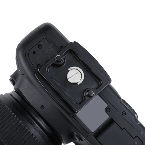 Camera with Two Pack One Quarter Twenty Thread D Ring Stainless Steel Camera Fixing Screws for tripod mounts and quick release plates