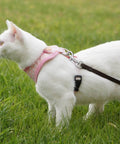 White cat with pink harness connected to a leash using a swivel eye bolt snap hook for pet leash and collar heavy duty clips.