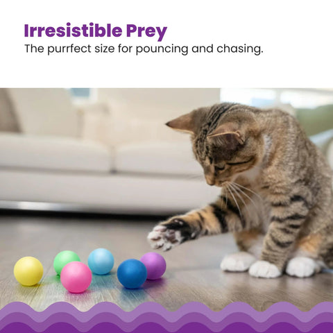 Cat playing with Replacement Balls for Cat Track Toys, Multiple Colors, 6 Pack on a hardwood floor.