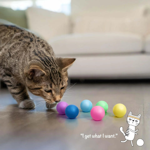 Cat playing with Replacement Balls for Cat Track Toys, Multiple Colors, 6 Pack, on hardwood floor, featuring colorful balls.