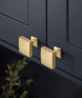 Champagne Bronze 10 Pack Cabinet Knobs Single Hole Drawer Pulls for Kitchen and Bedroom Cabinets installed on dark cabinet doors.