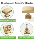 Champagne Bronze 10 Pack Cabinet Knobs Single Hole Drawer Pulls for Kitchen and Bedroom Cabinets, Solid Zinc Alloy, Durable Design