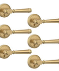 Six Champagne Bronze Privacy Door Handles for Interior Doors, Heavy Duty Levers Built to Last for Bedroom and Bathroom, Reversible Design.