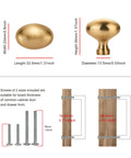Diagram showcasing Champagne Bronze Oval Cabinet Knobs 10 Pack Single Hole Cabinet Pulls with dimensions and screw sizes.